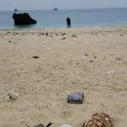 セーファズ