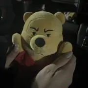 くまの画像