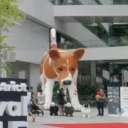 やーさまの画像