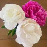 しぶん　説明文あり♡の画像