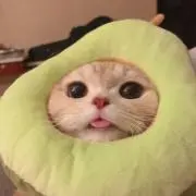 ももんがの画像