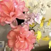 Ran⭐︎の画像
