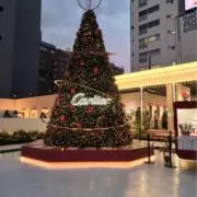 まるもりの画像