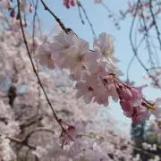 KOU☆の画像
