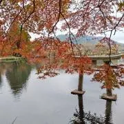 台湾ミナ（ヒヨリ）天然石の画像