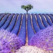 ⭐︎の画像