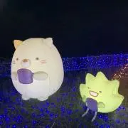 ももの画像