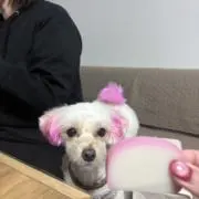 なっつんの画像