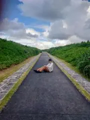kkrkkrの画像