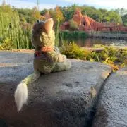 ぽぽえの画像