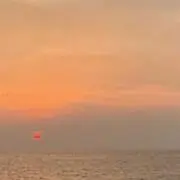 mynの画像