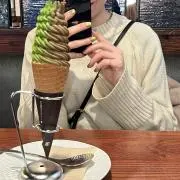春の画像