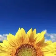 ♡らぶ♡の画像