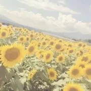 yukiの画像