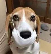 みゆきんぐの画像