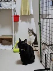 おこめ@即購入大歓迎！