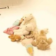 ゆりの画像