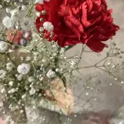 oooの画像
