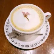 さくらの画像