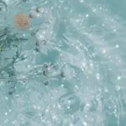 せなの画像