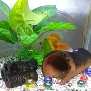 さと倉庫の画像
