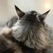 No.88の画像