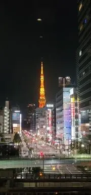 ケビルビの画像