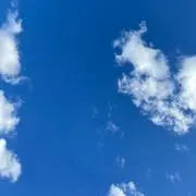 ふわりんの画像