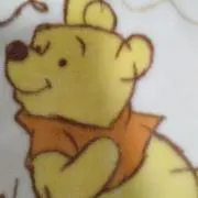 チョコの画像