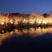 てるの画像