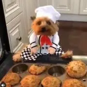 ニコちゃん★