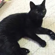 かなちゃん