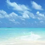 Mの画像