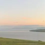 まめっちの画像
