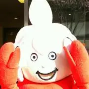 ドラミファの画像