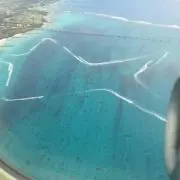 あーるの画像