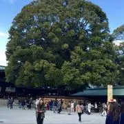ここ