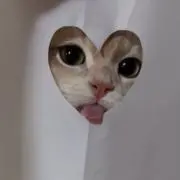 みうの画像