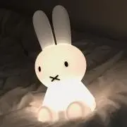 ずきんの画像