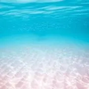 yuu＊の画像