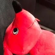 ぽよもんの画像