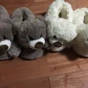 こたろう