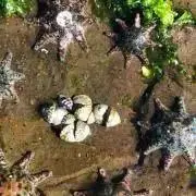 KAZUMIの画像