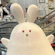 うさぎの画像