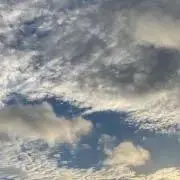 チモシー