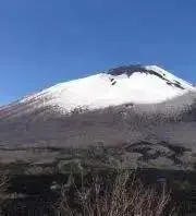 kumaの画像