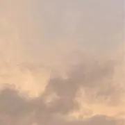 riの画像