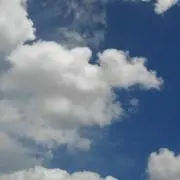 Omiorangeの画像