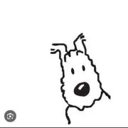 POPの画像