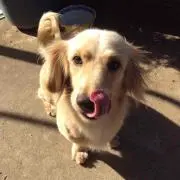 シータ